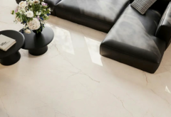 凡本网说明“：其他”的内容